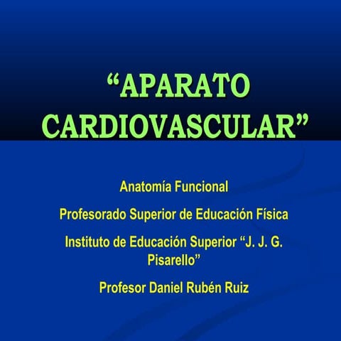 Sistema cardiovascular