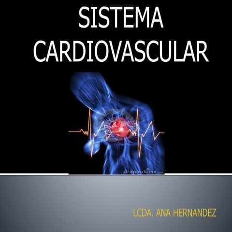 Sistema cardiovascular