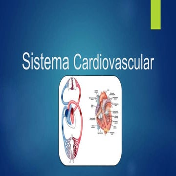Sistema cardiovascular, generalidades, enfermedades y enfermería.