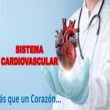 SISTEMA CARDIOVASCULAR COMPLETO  DEL SER HUMANO