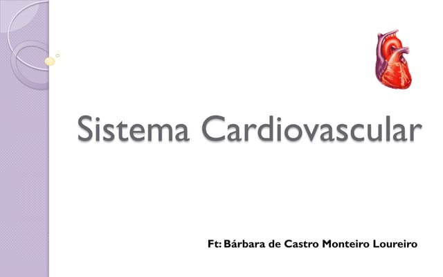 Sistema cardiovascular   bárbara de...