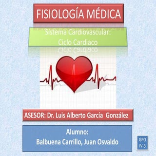 Sistema cardiovascular  ciclo cardiaco