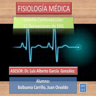 Sistema cardiovascular   derivacion...