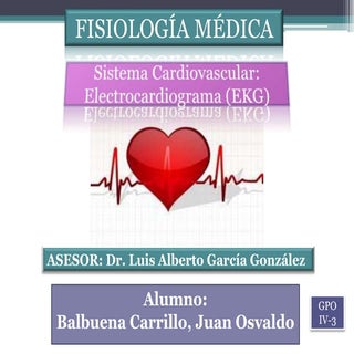 Sistema cardiovascular   electrocar...