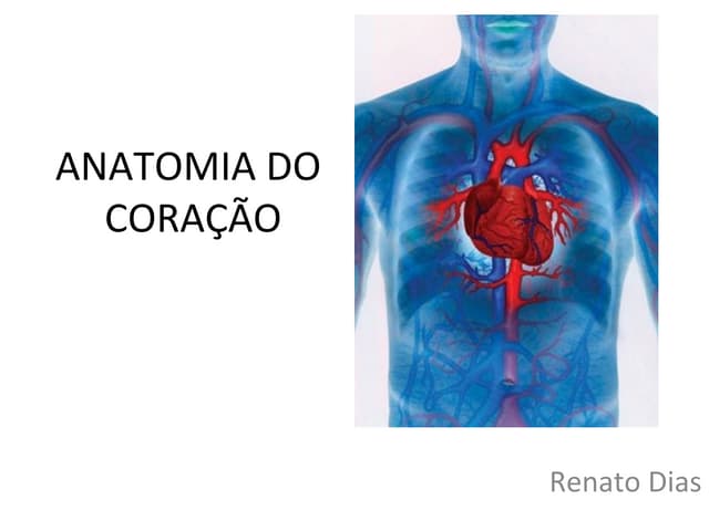 Sistema cardiovascular 