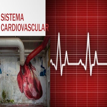 Sistema cardiovascular complet (1)