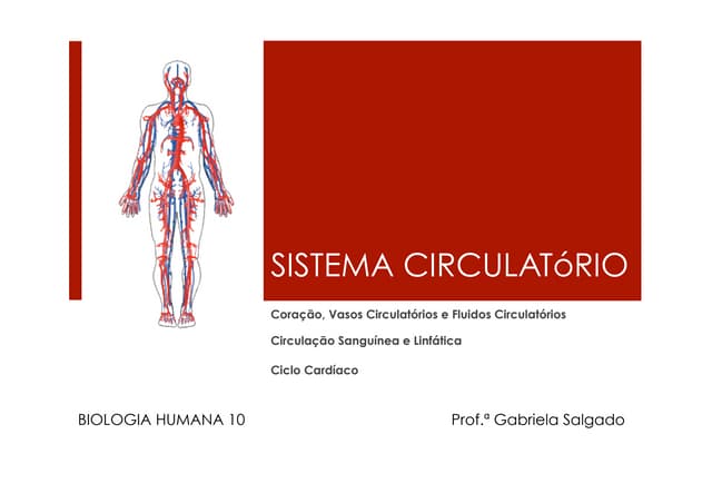 Sistema circulatorio