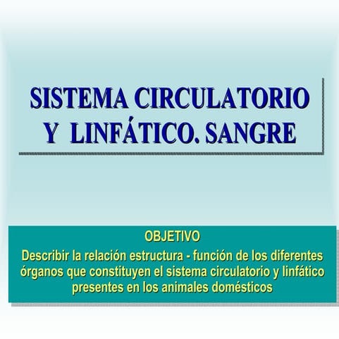 Sistema circulatorio