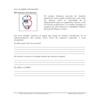 Sistema circulatorio