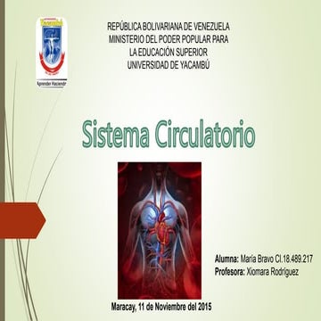 Sistema circulatorio