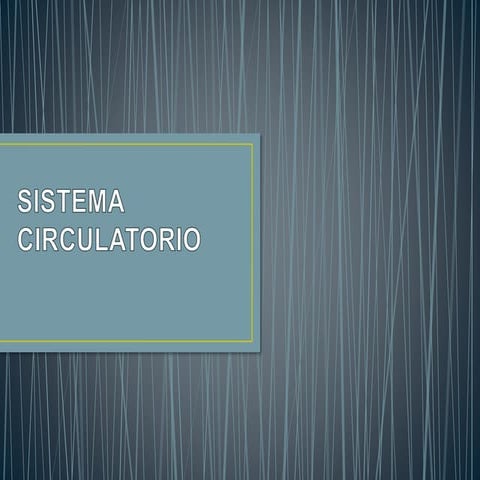 Sistema circulatorio (1)