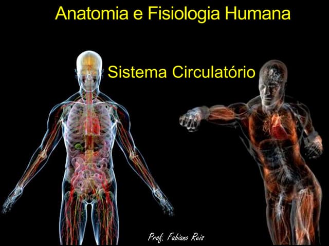 Sistema circulatorio slides da aula