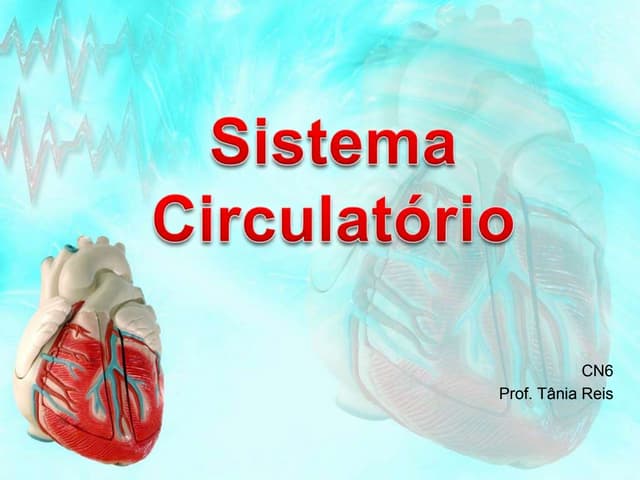 Sistema circulatório