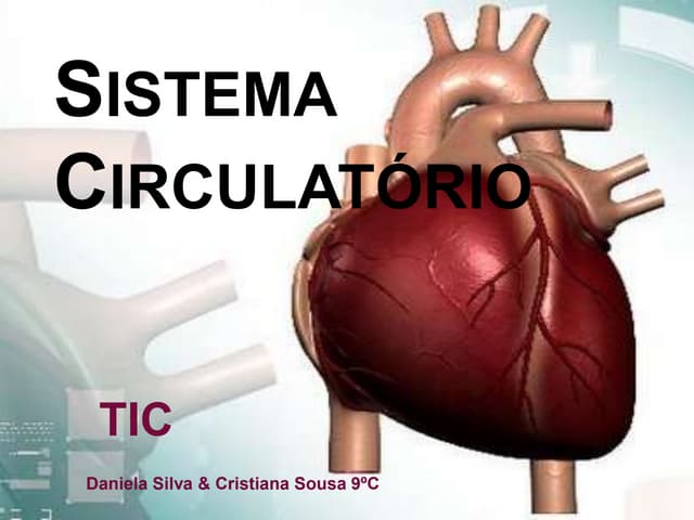 Sistema circulatório