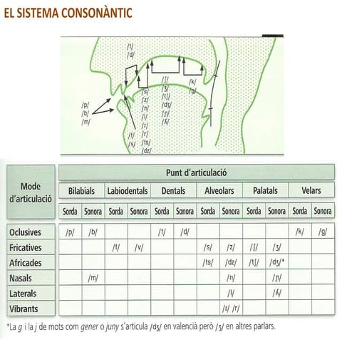 El sistema consonàntic