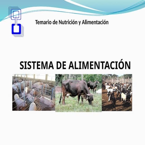 sistemadealimentac777766666666666666666666666666666onanimal.pptx