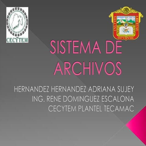 Sistema de archivos