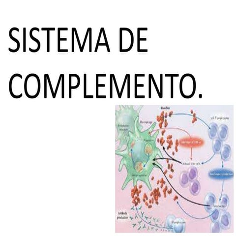 Sistema de complemento | PPTX