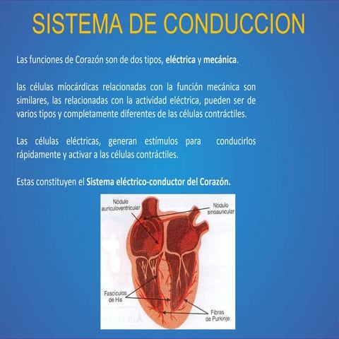SISTEMA DE CONDUCCION