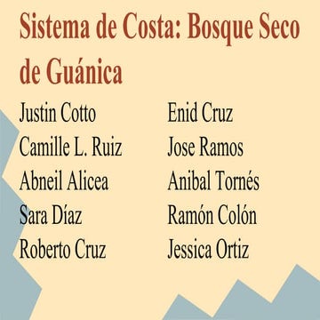 Sistema de costa  bosque seco de guanica