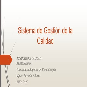 El sistema de gestión de la calidad | PPTX