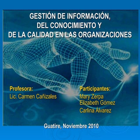 Sistema de información (ecm)