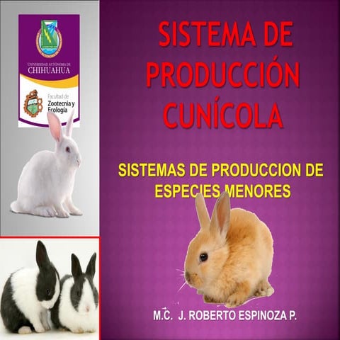 Sistema de produccion cunicola