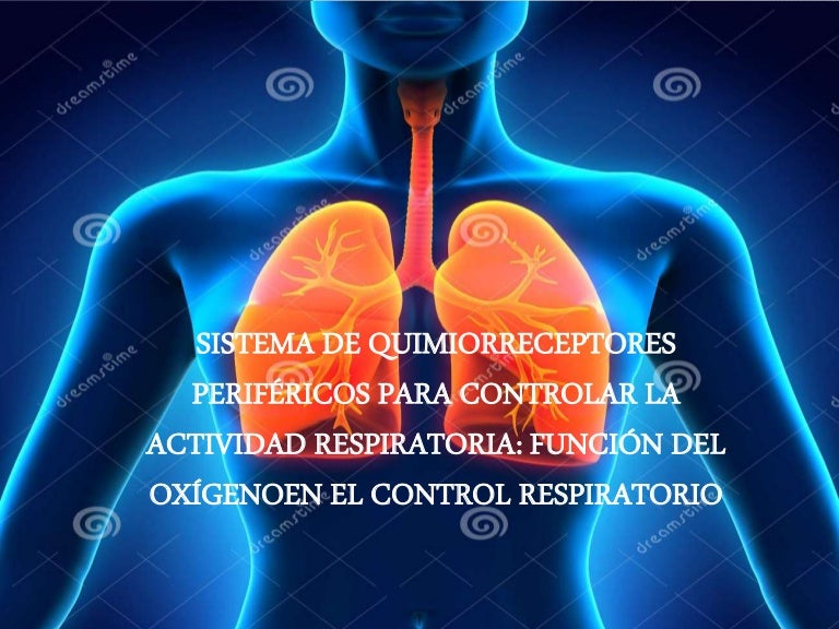 Oxigeno Que Es Y Cual Es Su Funcion En El Cuerpo Meditip Images