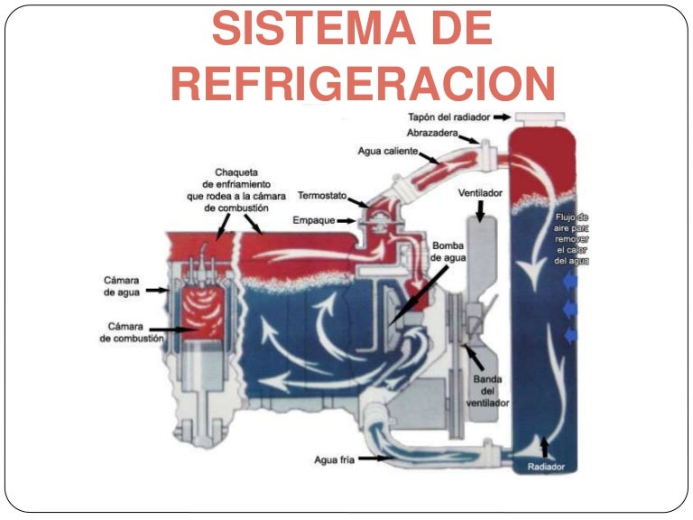 30+ Funcion Del Refrigerante En Un Sistema De Refrigeracion Images Vitrina Expositora Refrigerada 30+ Funcion Del Refrigerante En Un Sistema De Refrigeracion Images Vitrina Expositora Refrigerada
