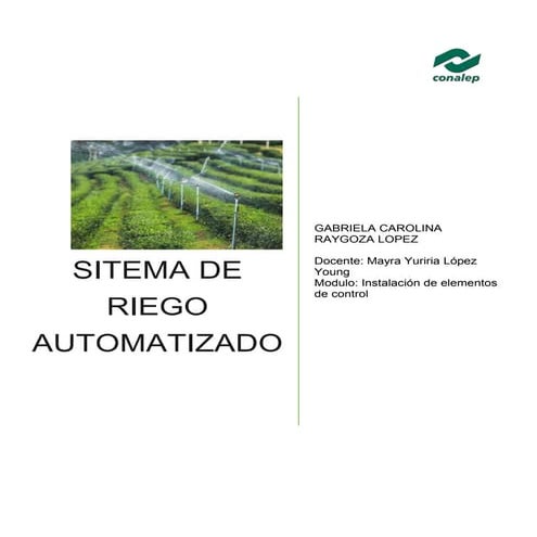 Sistemas mecatrónicos. sistema de riego automatizado,