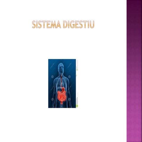 Sistema digestiu
