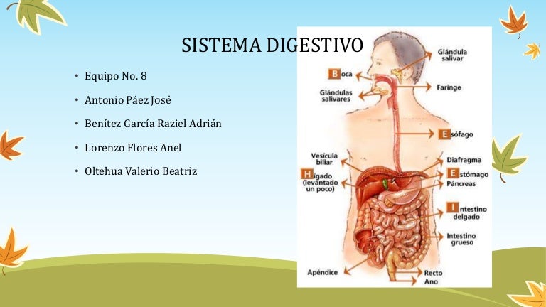 Модуль управления движением. Nominal everyday anyone remix. Система n o m. Модульная система 1 центральная секция дуб венге/жемчуг. Wordpress фильтр по категории.
