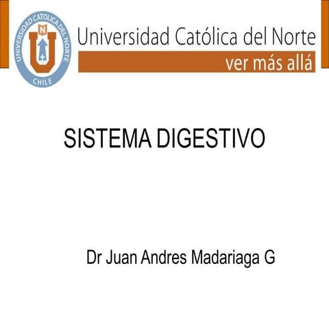 SISTEMA DIGESTIVO estomago,yeyuno e ileón.pdf