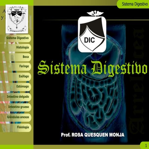 SISTEMA DIGESTIVO . ROSA QUESQUEN MONJA
