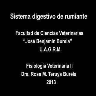 Sistema digestivo de rumiante