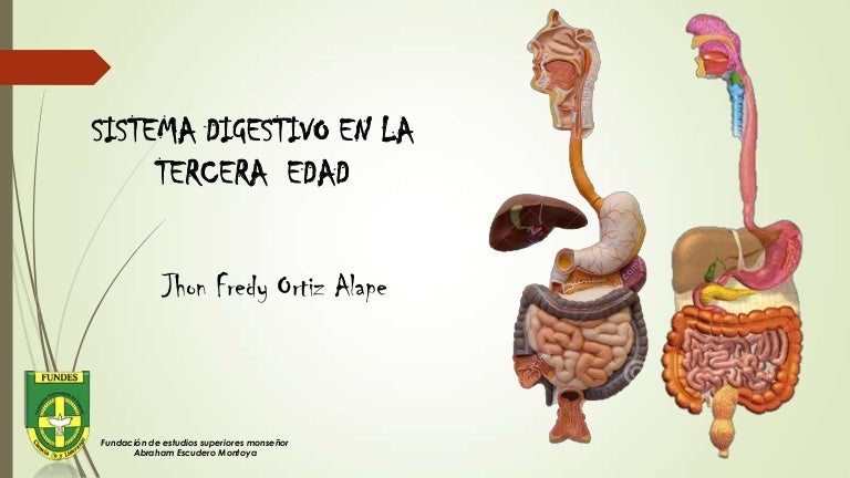 Sistema digestivo en la tercera edad
