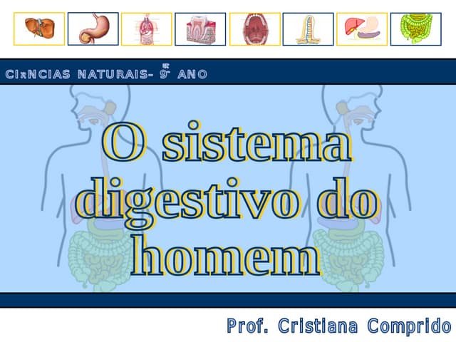Sistema Digestivo ExercíCios