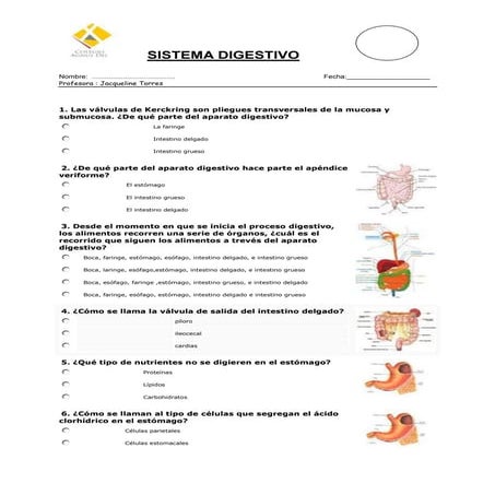 Sistema digestivo ficha de aplicación