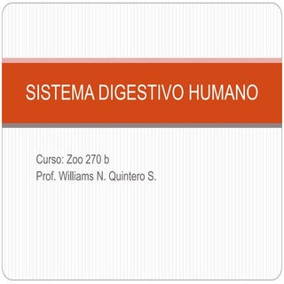Sistema digestivo humano ppt