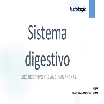 Histologia del Sistema Digestivo 