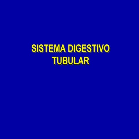 Sistema digestivo tubular