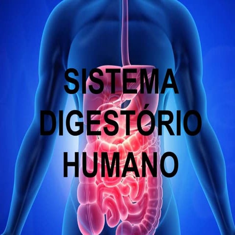 Sistema digestório.pptx