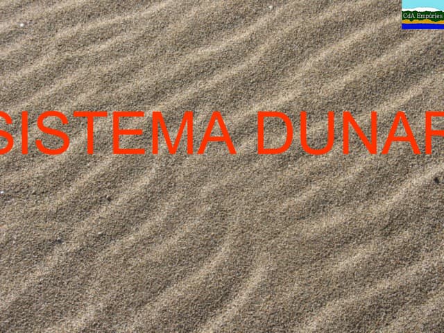 Sistema dunar