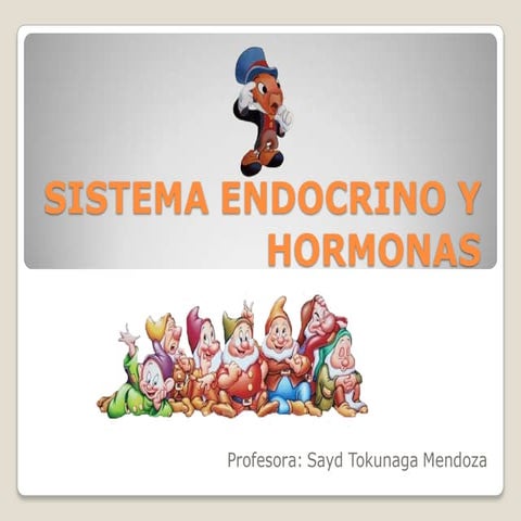 Sistema endocrino