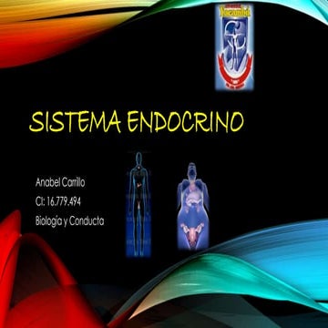 Sistema endocrino animal gmgr | DOCX