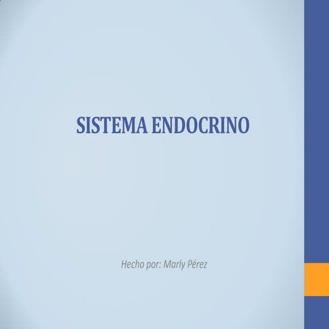 Sistema endocrino