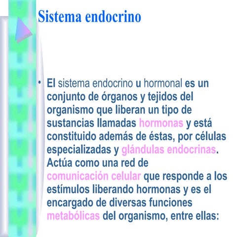 Sistema Endocrino 