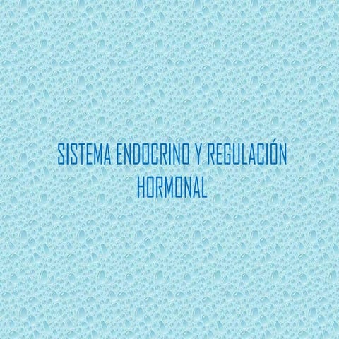 Sistema endocrino 