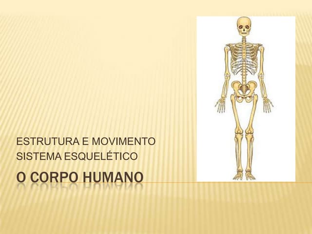 Sistema esqueletico.ppt