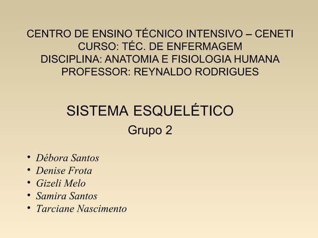 Sistema Esquelético